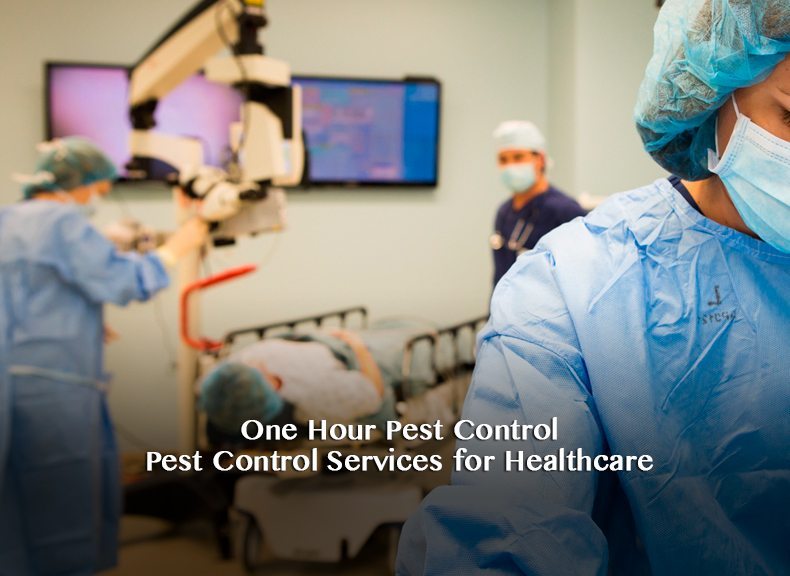 Pest_Control_NJ_New_Jersey_Exterminators (10) Pest Control NJ New Jersey Exterminators