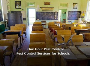 Pest_Control_NJ_New_Jersey_Exterminators (22)