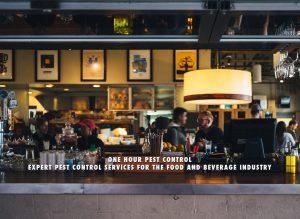 Expert Pest Control Services for the Food and Beverage Industry