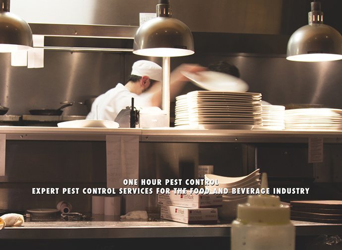 NJ Pest Control - New Jersey Exterminators